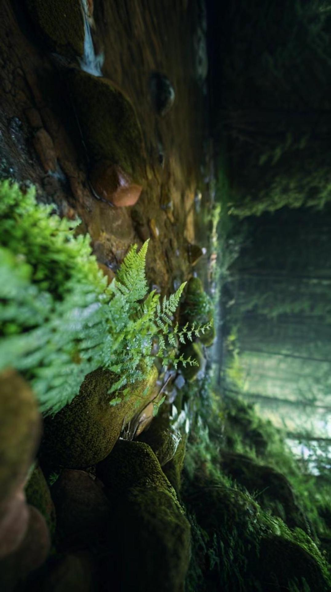 Zhangjiajie One Art Guesthouse 외부 사진