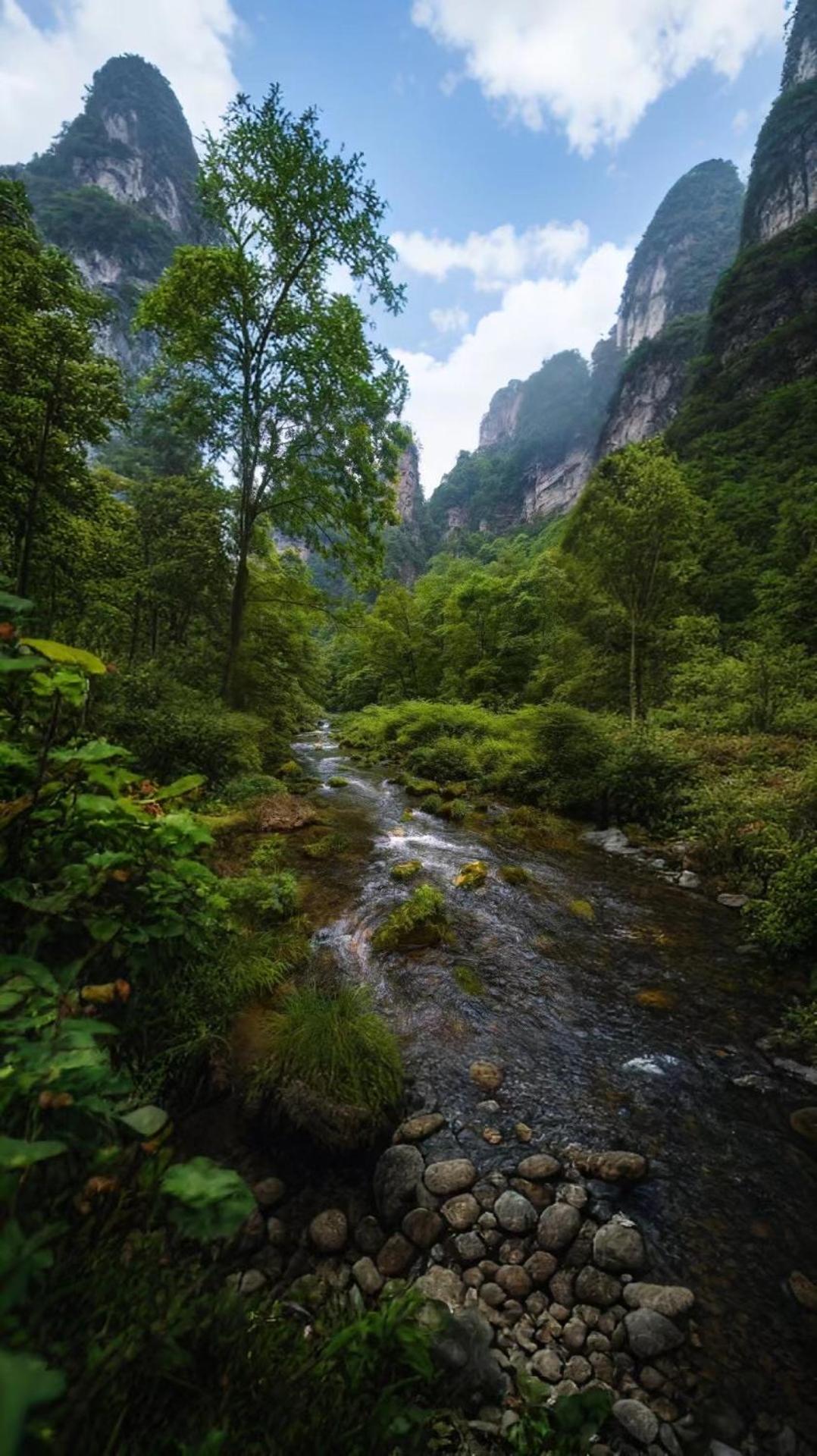 Zhangjiajie One Art Guesthouse 외부 사진
