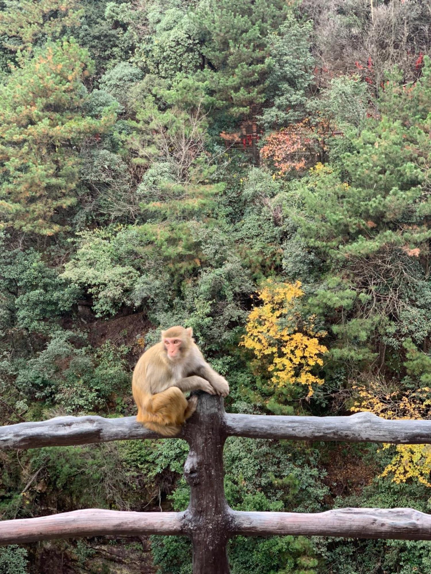 Zhangjiajie One Art Guesthouse 외부 사진