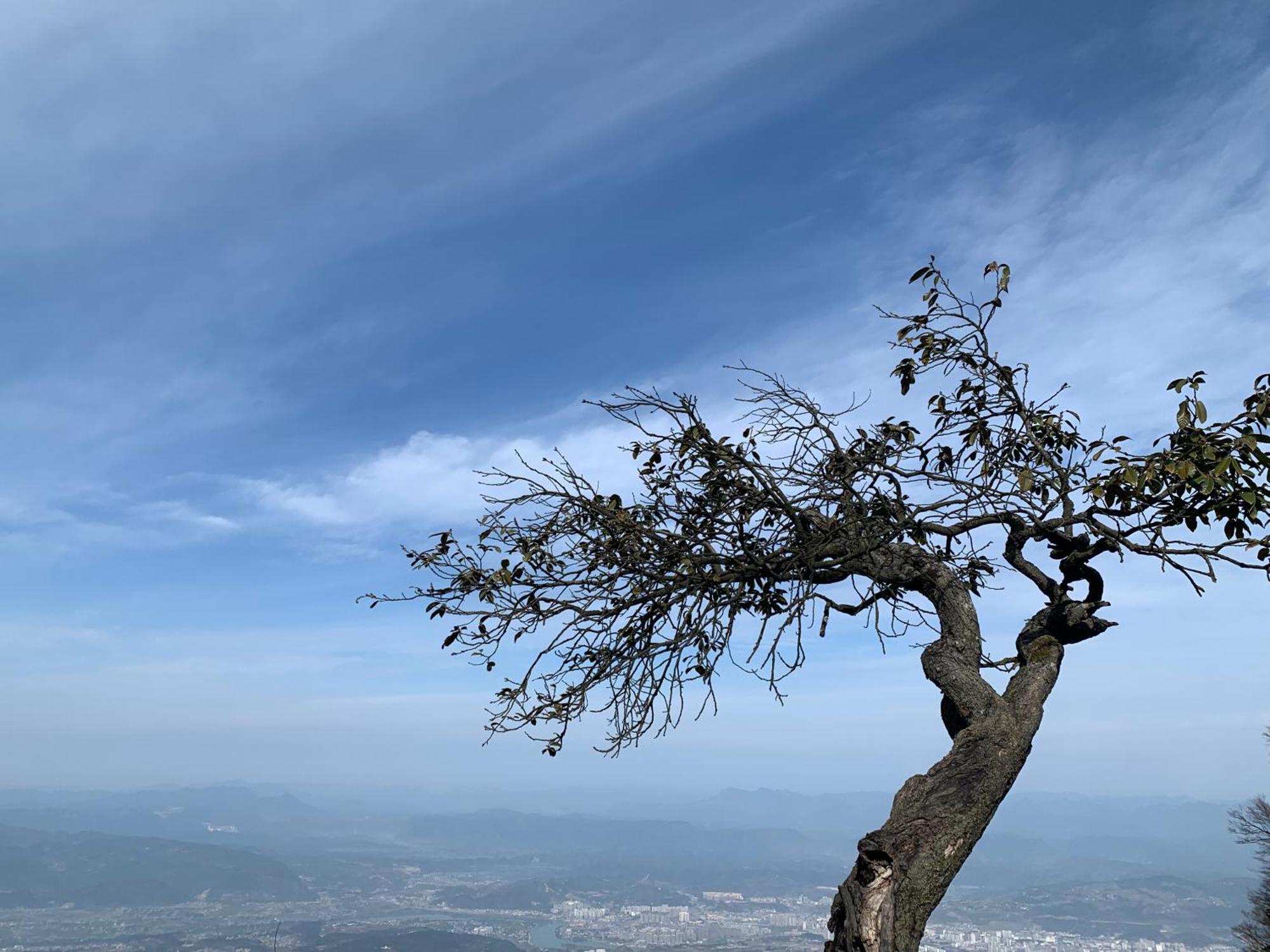 Zhangjiajie One Art Guesthouse 외부 사진