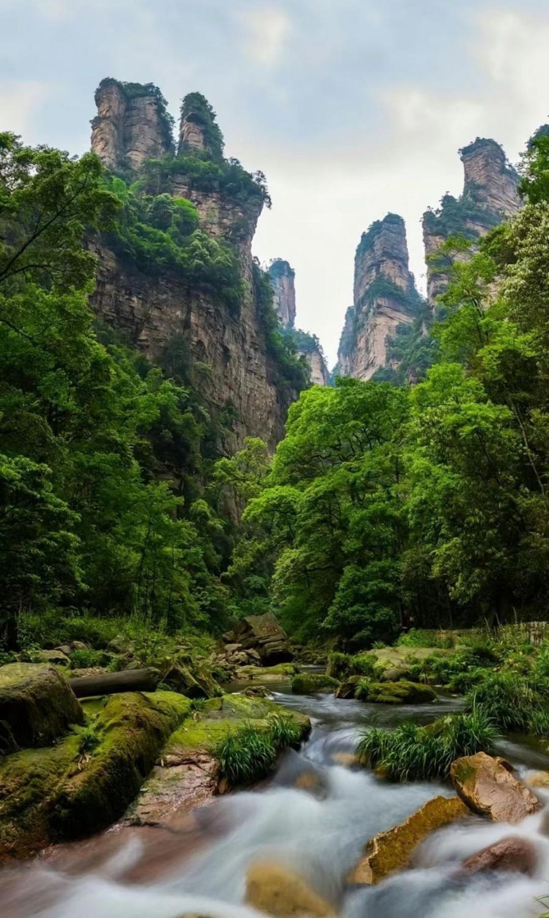 Zhangjiajie One Art Guesthouse 외부 사진